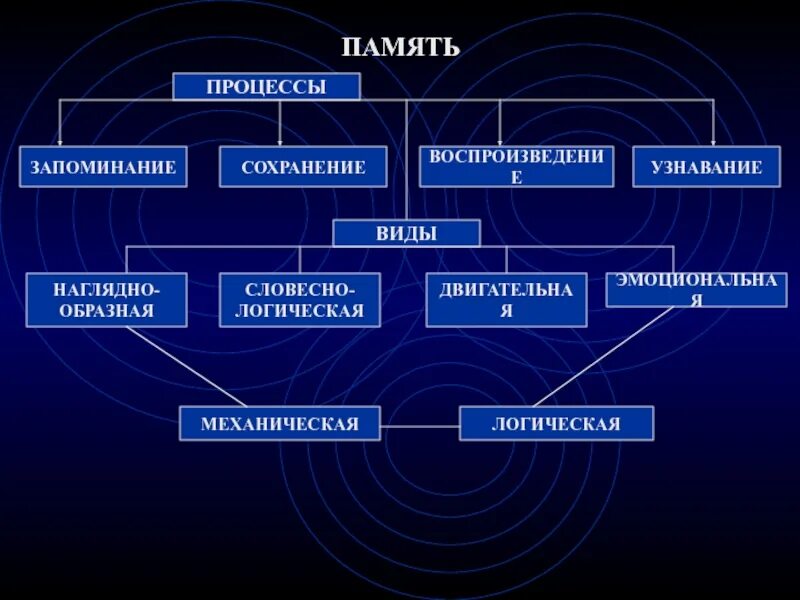 Память как психический познавательный