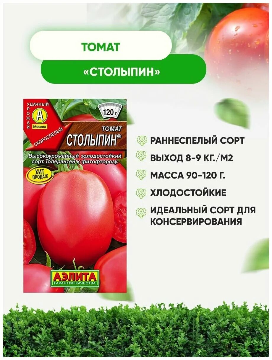 столыпин томат f1. аэлита томат столыпин. томаты сорт груша розовый. столыпин томат отзывы описание сорта фото характеристика. томат столыпин 0,1г аэлита.