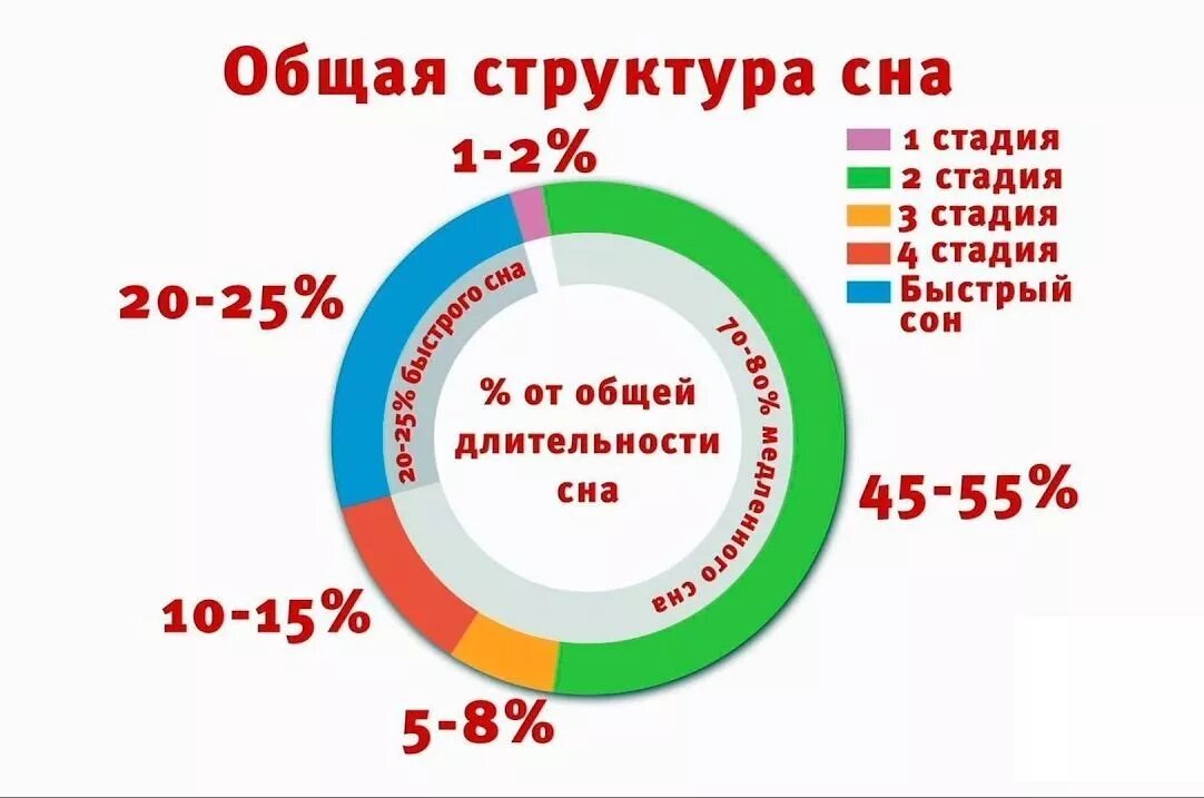 Фазы сна диаграмма. Структура сна здорового человека. Фазы сна человека диаграмма. Фазы сна схема.