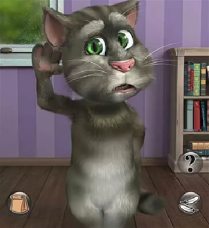 Игра talking tom cat (2012. Tom cat. Talking tom cat 2016. Talking tom cat. Talking tom.