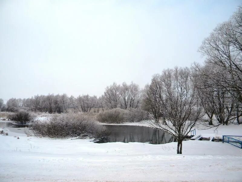 Погода богословка белгородской