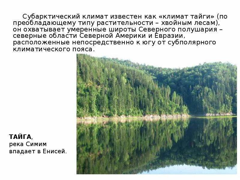 Преобладание хвойной растительности. Субарктический климат. Климат тайги Северной Америки. Субарктическая Тайга. Климат тайги Тип климата.