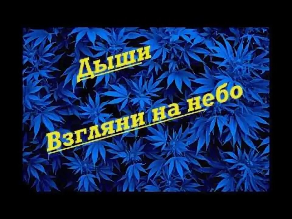 Текст песни посмотри на небо как плывут. Дыши взгляни на небо. Группа Дыши взгляни. Дыши взгляни на небо обложка. Группа Многоточие взгляни на небо.