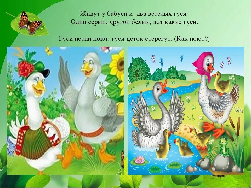 Жили у бабуси веселых гуся. Жили у бабуси два веселых гуся. Жили убабус два веселых гуся. Гуси у бабуси. Жили у бабуси два веселых гуся один серый другой белый.