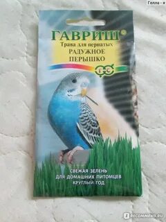 Трава для попугаев волнистых