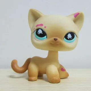 Best pets shop