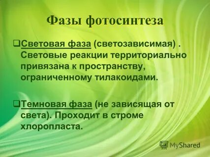 Понятие экологическая культура