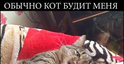 Не буди мемы
