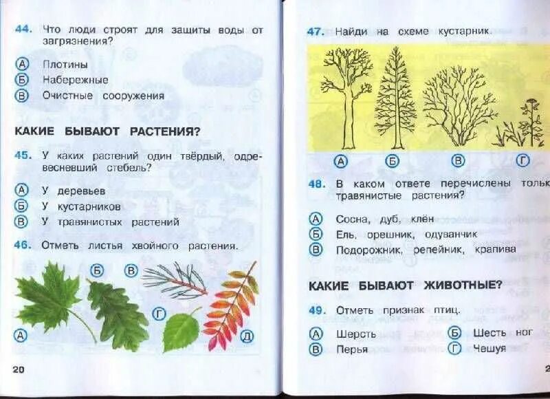 Тест разнообразие растений 2 класс. Тест по окружающему миру. окружающий мир. тесты. 2 класс. тест по окружающему миру 2 класс. окружающий мир 2 класс задания.