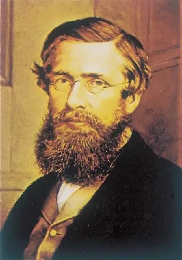 Alfred russel wallace. Биография уоллес. Alfred russel wallace. Биография уоллес. Рассел уоллес.