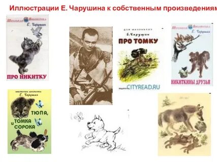 Про чарушина