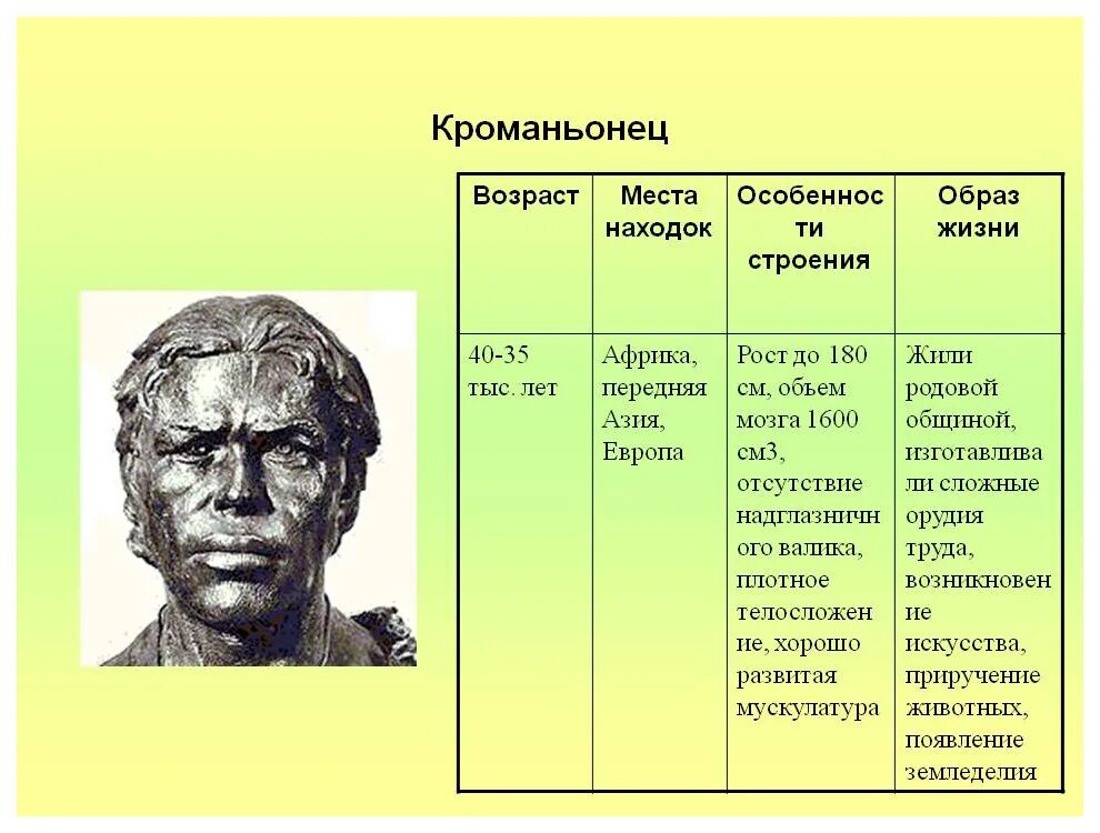 Люди современного типа признаки. Кроманьонец хронологический Возраст. Неоантропы характеристика таблица. Исторический Возраст кроманьонцев таблица. Возраст кроманьонца таблица.