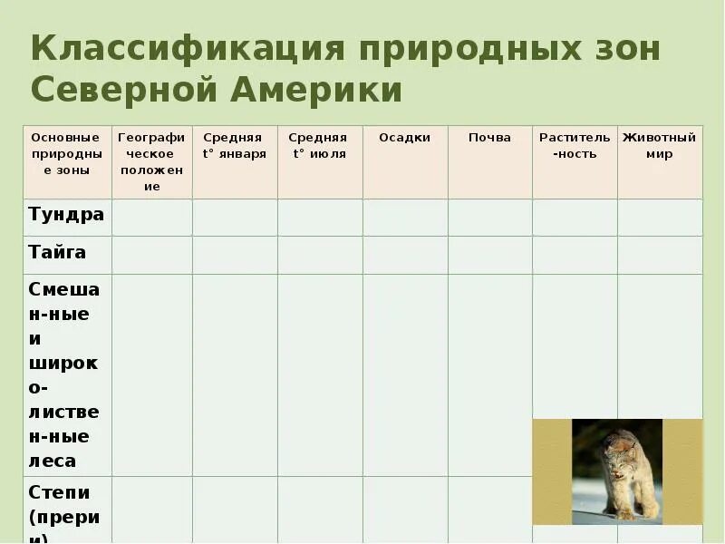 Климат природных зон северной америки таблица