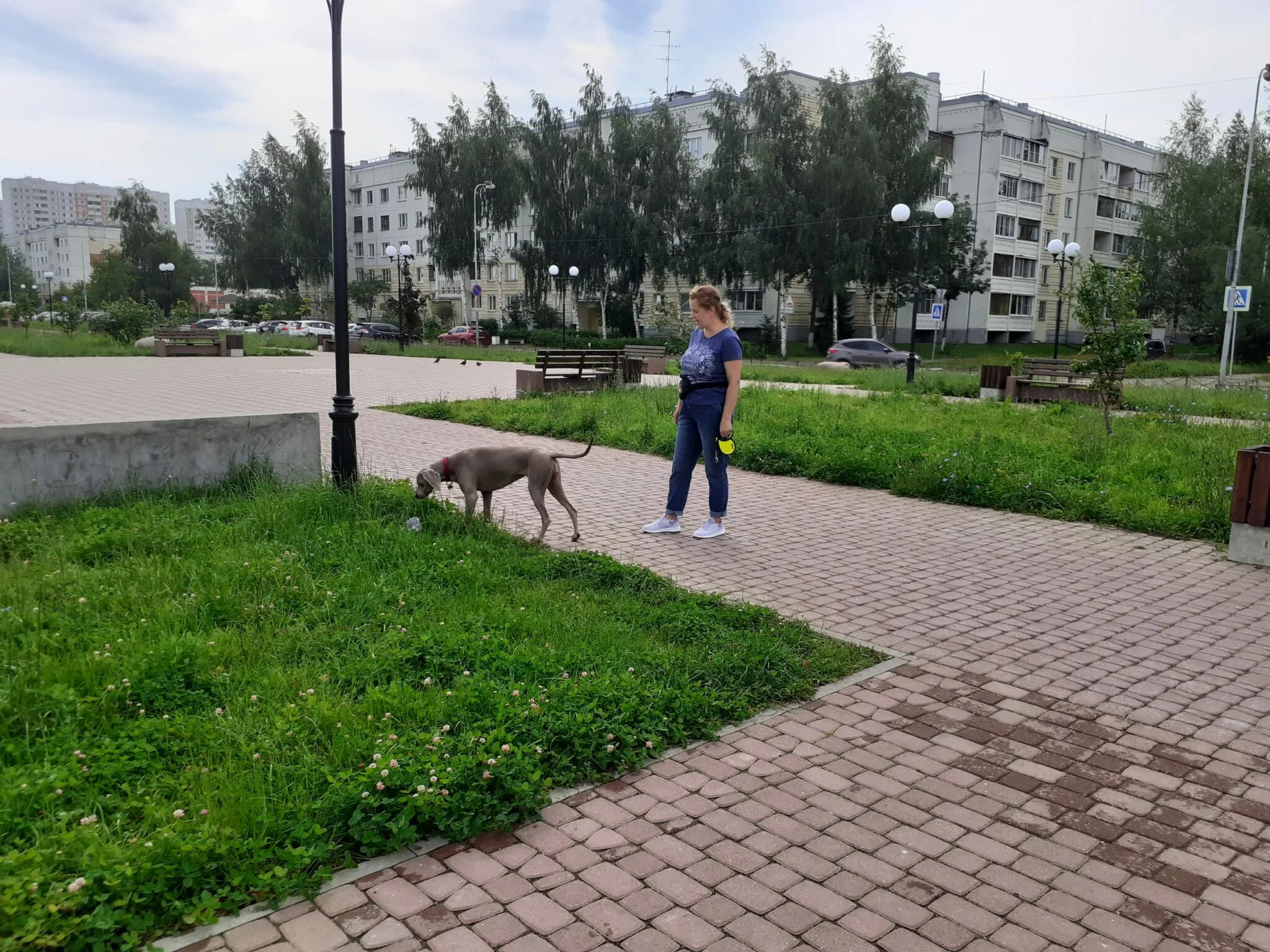 Собаки в Твери. Другая Тверь. Другая Тверь чья?. Другая тверь главная