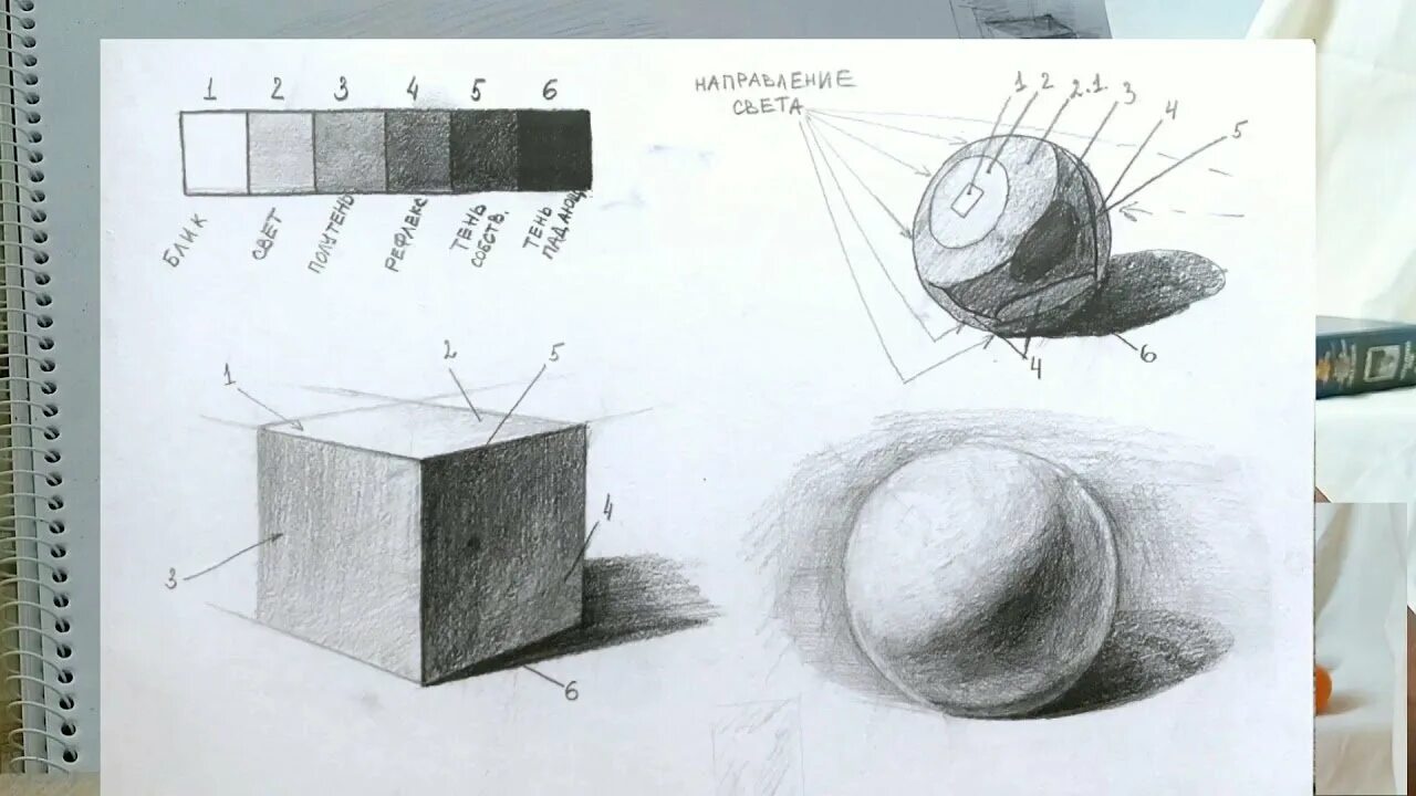 Основы светотени в рисовании. Тень рисунок. Тени светотени в рисовании. Элементы светотени на рисунке. Схема света и тени