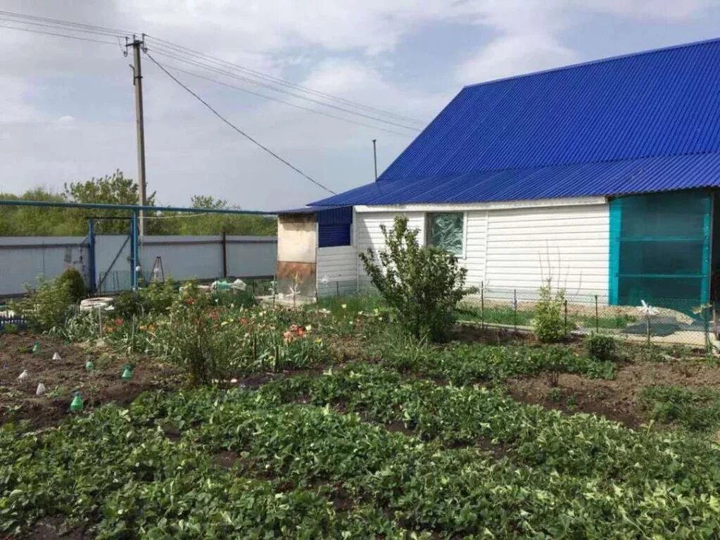 Поселок южный самарская область большеглушицкий. Поселок южный самарская область большеглушицкий. Поселок южный самарская область большеглушицкий. Поселок южный самарская область большеглушицкий. Посёлок южный самарская область.