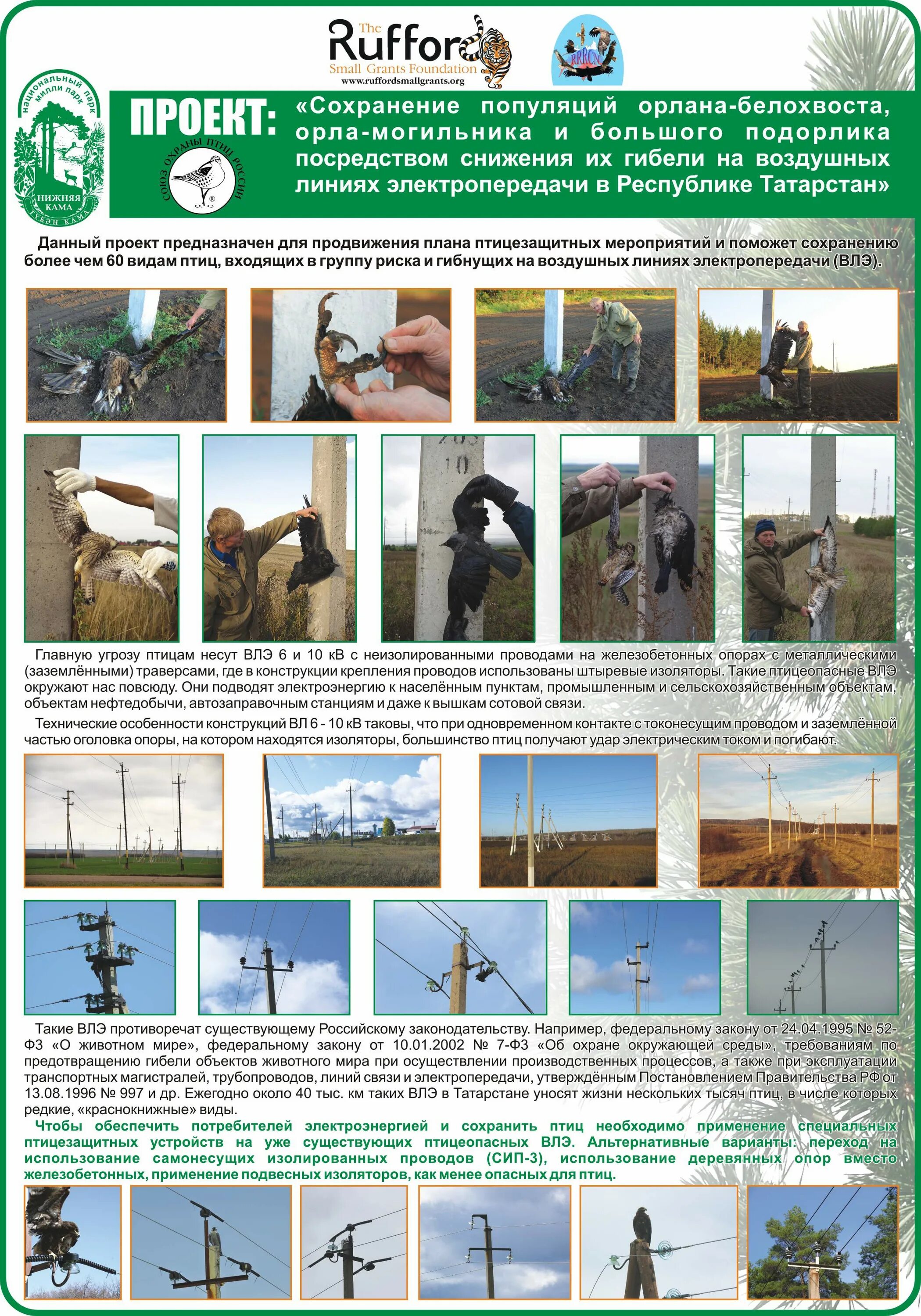 Меры по предотвращению гибели животных. Мероприятия по охране животных и растений. Требования по предотвращению гибели объектов животного. Требования по предотвращению гибели объектов животного. Требования по предотвращению гибели объектов животного.