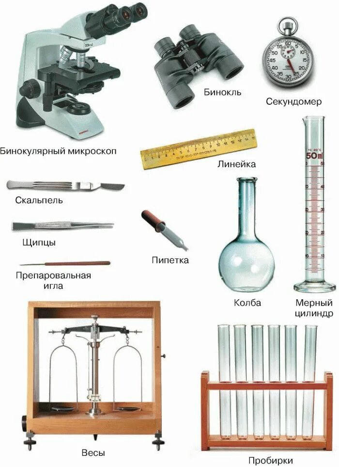 Что из приведенного можно изучать. Приборы и инструменты биологической лаборатории 5. Приборы и инструменты биологической лаборатории 5 класс таблица. Биология 5 класс приборы и инструменты биологической лаборатории. Приборы и инструменты биологической лаборатории препаровальная игла.