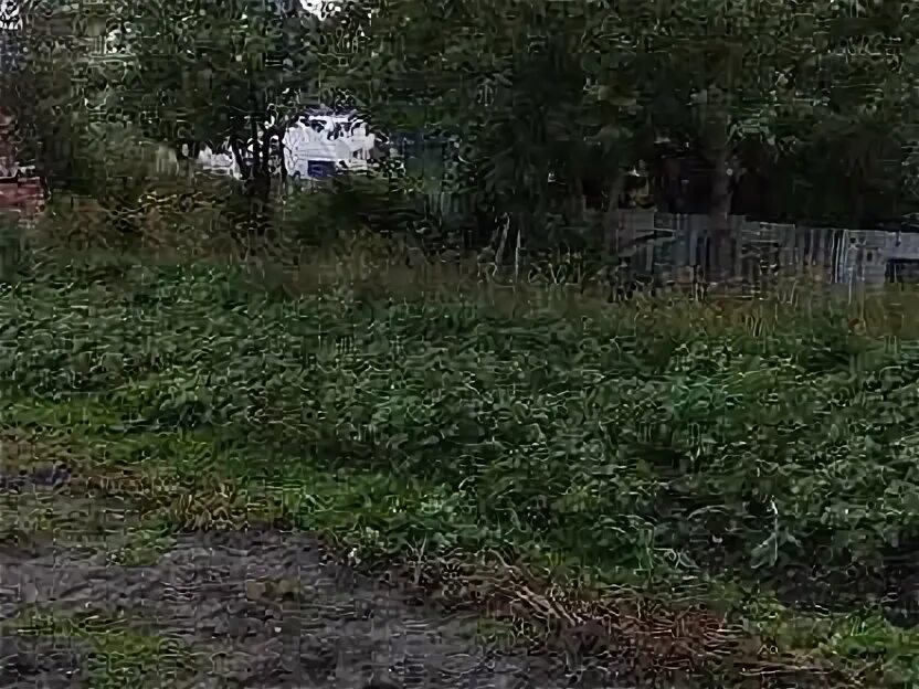 Сквер. Сад новосинеглазово. Деревня вознесенка новосинеглазово. Коттедж новосинеглазово. Сад новосинеглазово.