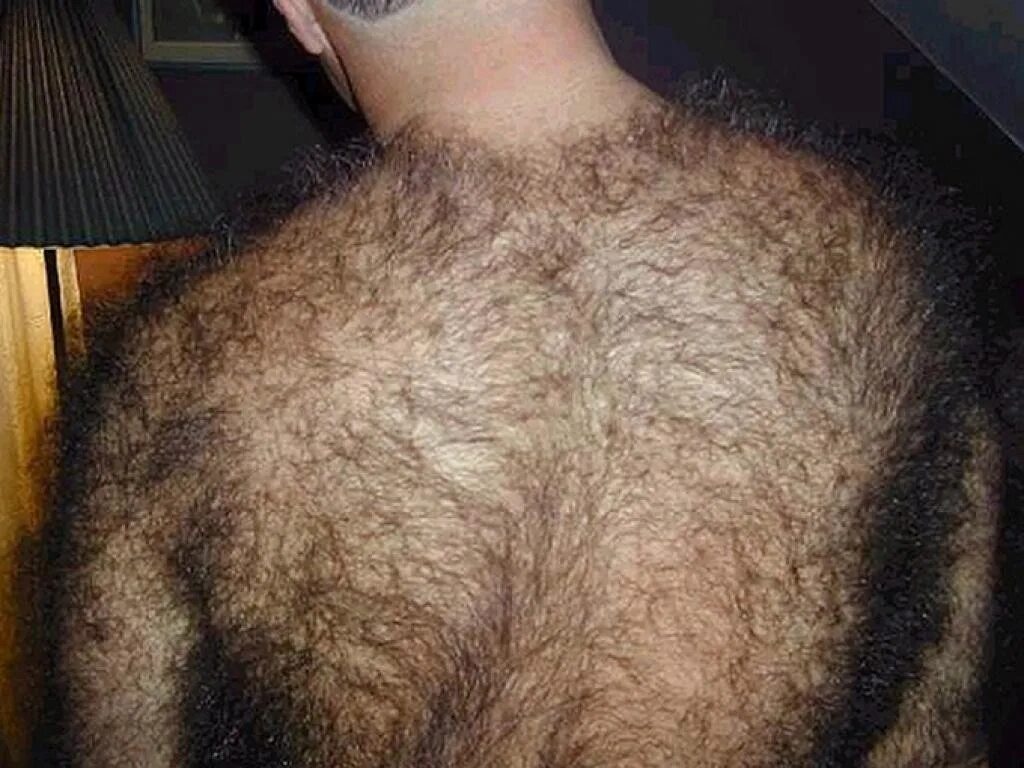 Hairy hair. Волосатая мужская спина.