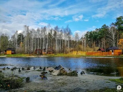 Беседки академический екатеринбург
