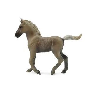 Collecta