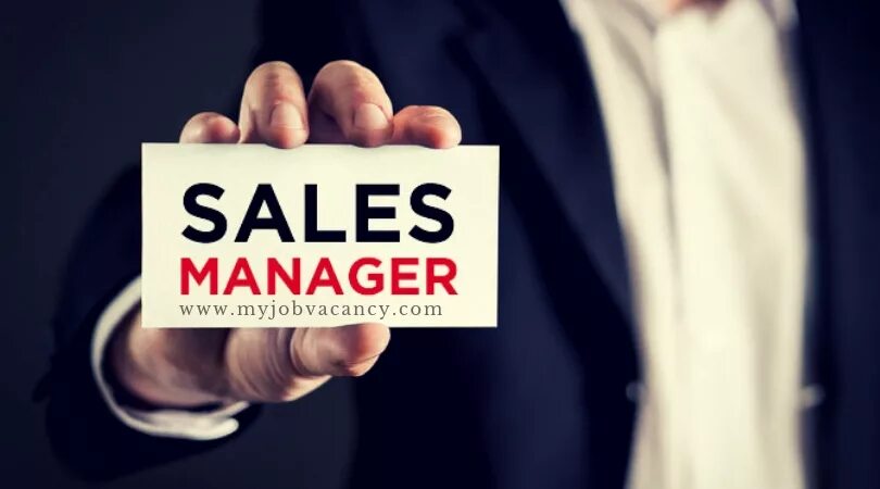 Sales менеджер. Sales Manager картинка. Sales Manager иллюстрация. Vacancy sales Manager.