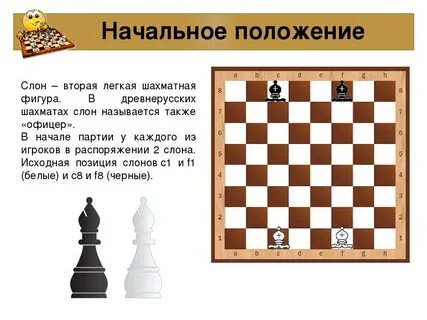 Как выглядит слон в шахматах