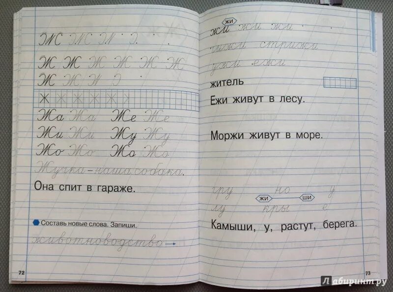 Тренажер по чистописанию 1 класс страница 53. Жиренко тренажер по чистописанию 1. тренажёр по чистописанию 1 класс жиренко буква ж. тренажёр по чистописанию 1 класс 72. тренажер по чистописанию 1 класс буква ж.