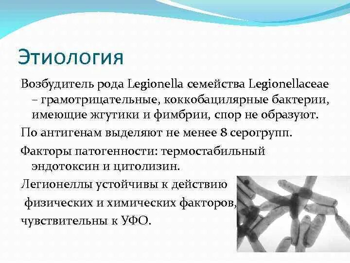 Рода возбудители. Поражение грибком кандида. Иерсинии морфология микробиология. Холера классификация возбудителя. Брюшной тиф возбудитель.