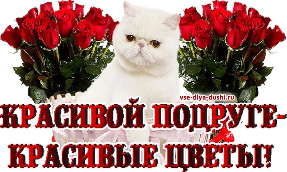 Всегда красавица. Женщина всегда прекрасна. Всегда красавица. Принцесса юмор. Красотка открытка.