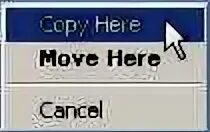 Copy here
