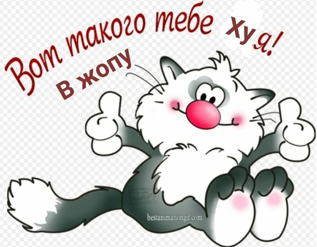 Доброго дня и хорошего настроения картинки смешные. Хорошего дня прикольные. хорошего дня картинки прикольные. пожелания хорошего дня прикольные. стикеры с пожеланиями хорошего дня.