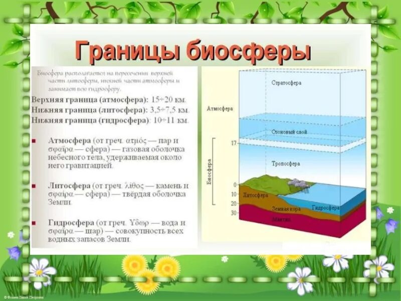 География 5 класс оболочки земли ответы