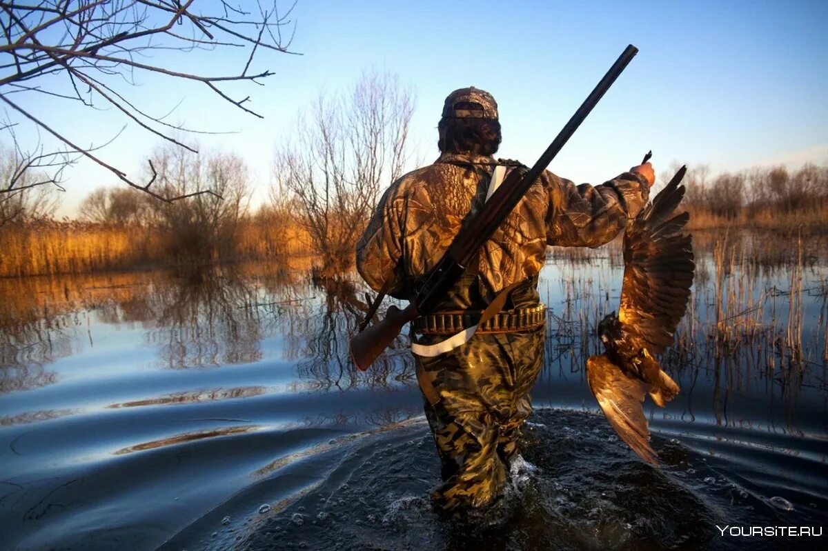 Охота и рыбалка видео новинка. Охота и рыбалка. Охотник. Природа и охота. Охотники на природе.