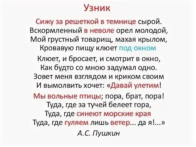 Сижу я в темнице орел молодой