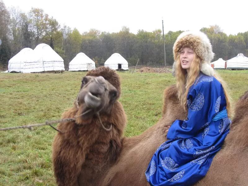 этнопарк кочевник в хотьково. этно парк кочевник сергиев посад. этно парк кочевник сергиев посад. животные хотьково. парк кочевник хотьково.