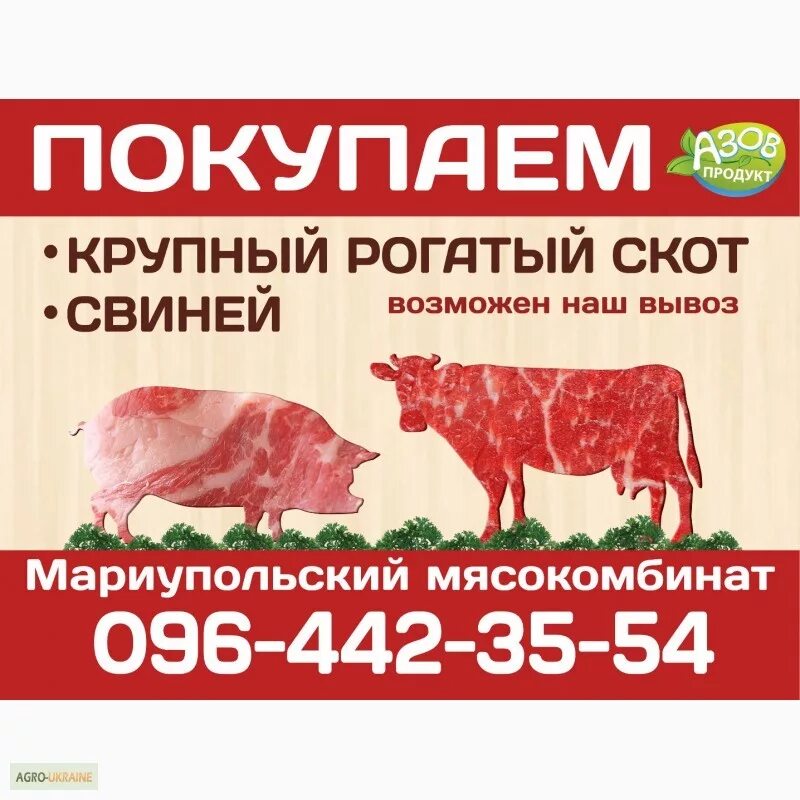 Подвижность семени быка. Игра кроссворды ответы на букву н. Оптовый скупщик скота 6 букв кроссворд. Оптовый скупщик скота 6 букв кроссворд. Скупщик животных 5рп.