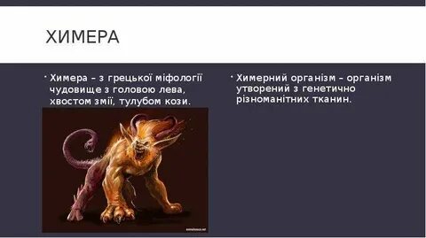 Химера слова