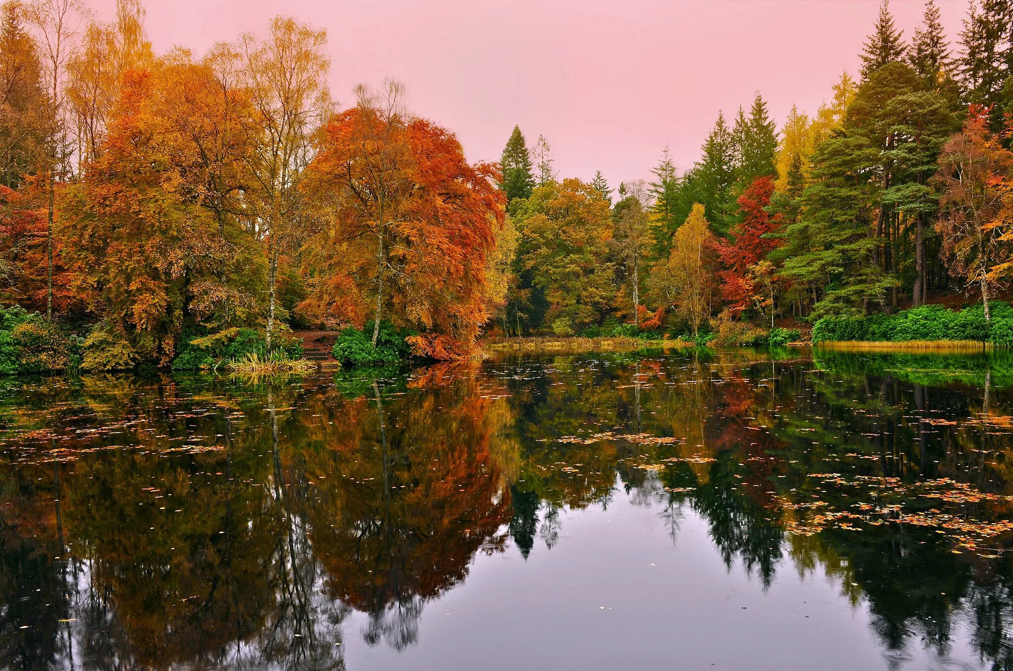 В природе отражаются на. Осенний лес. Природа осень. Осеннее озеро. Озеро осенью.