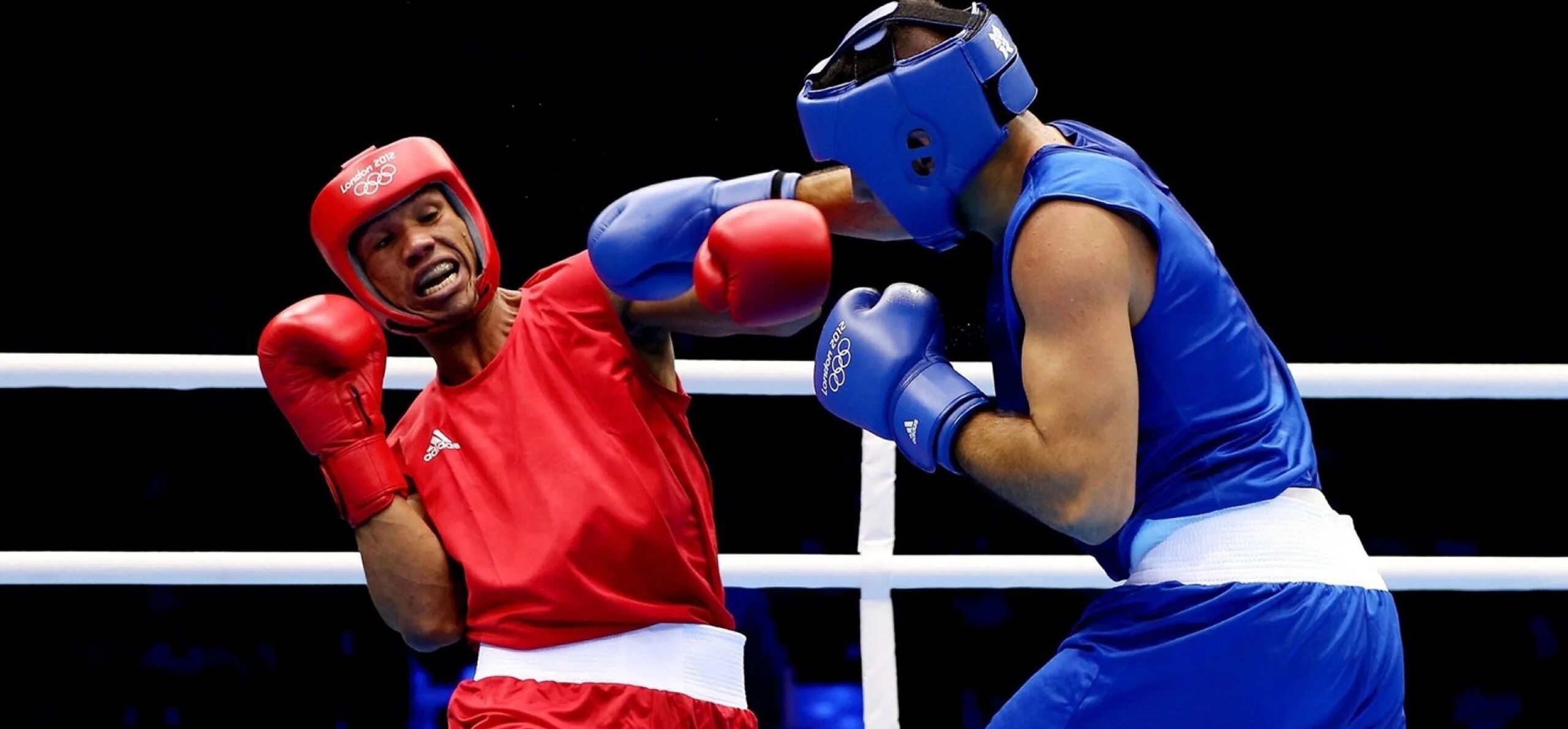 Бокс не работает. Смешанные единоборства ринг. Удар по боксерской груше. Бокс не работает. Бокс не работает.