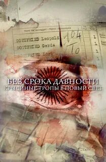 Без срока давности мертвая зона живой щит