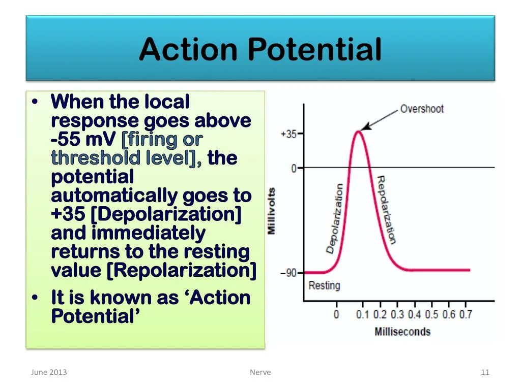 Resting potential and Action potential. Threshold Level. Non excitable Tissues. Physiology of excitable Tissues. Bioelectric phenomena in excitable Tissues зкшяутефешщт. Rest response