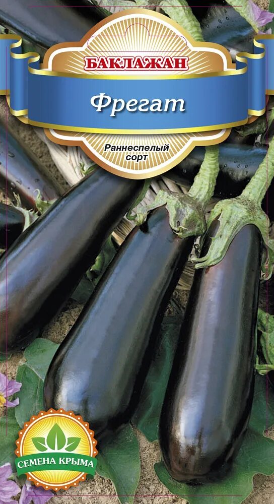 Фрегат баклажан описание. Баклажан донской 14. Баклажан черный фрегат. Высота баклажана. Баклажан "фрегат" сембат.