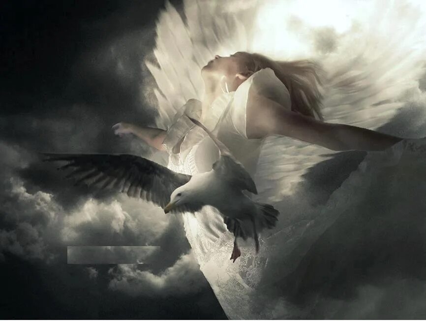 Ввысь песня. Ангел с расправленными крыльями. Женщина с крыльями. Улетающий ангел. Ангел небес.