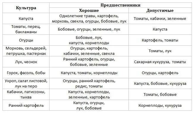 Что посадить после томатов на следующий