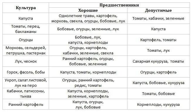 После чего посадить огурцы на следующий год. Морковь посадка после какой культуры сажать. После каких культур можно сажать морковь и лук. Посадка моркови после каких культур можно сажать. После каких овощей можно садить морковь.