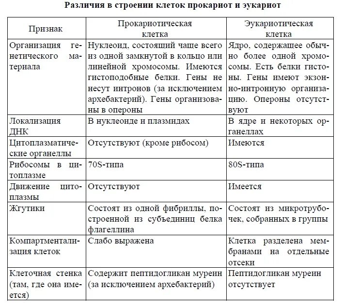 Сходства и различия эукариот. Различия прокариот и эукариот таблица. Сравнение прокариот и эукариот таблица. Сравнение строения прокариотической и эукариотической клетки. Сравнительная характеристика прокариот и эукариот.