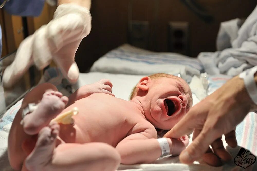 Первый рожают. Новорожденный после родов.