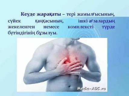 Сорғыштың дыбысы